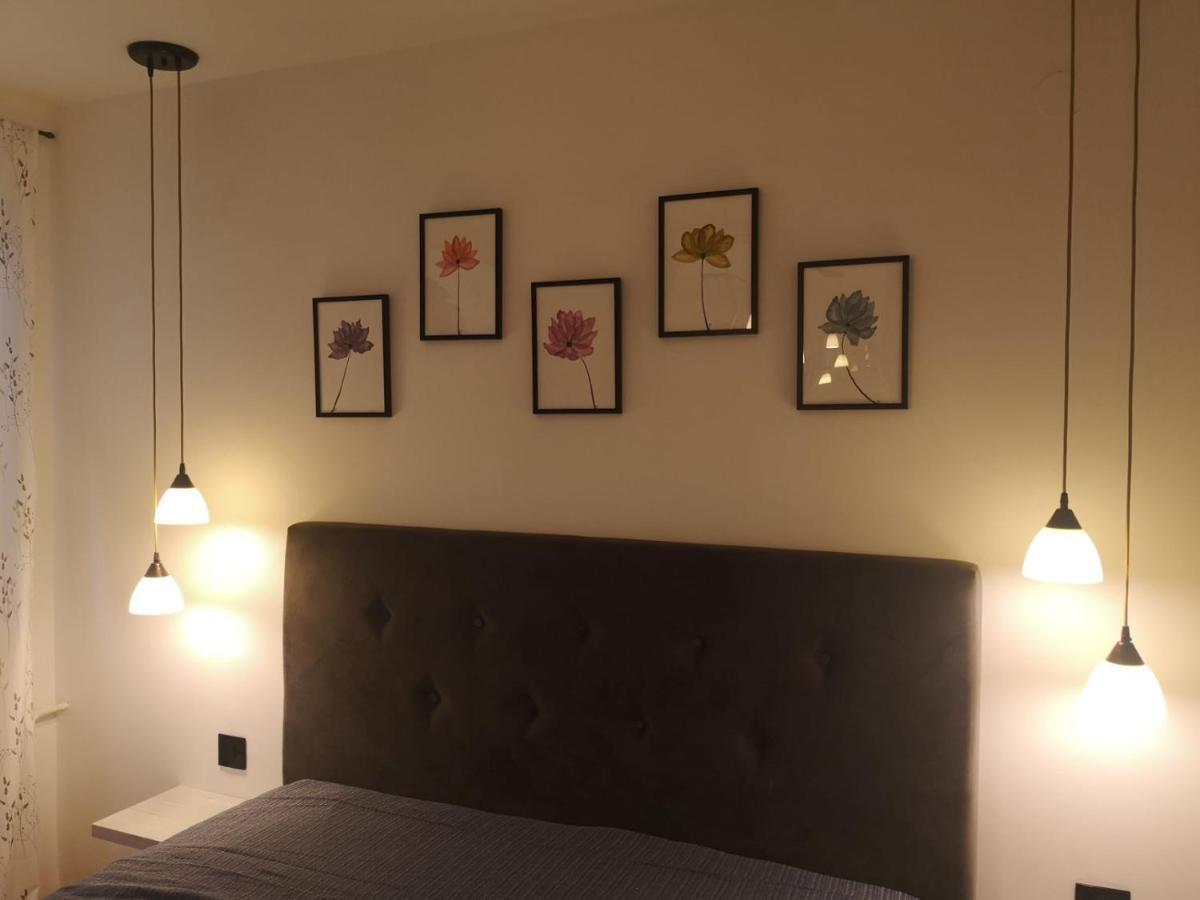 Apartman Darvin / Lux Belgrade Exterior photo